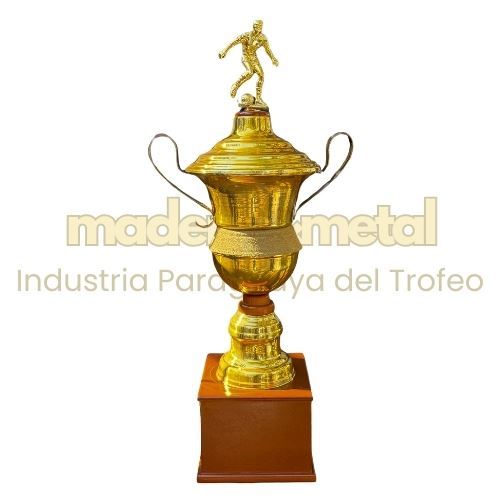 Imagen de Copa de metal con tapa - M5.4060